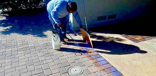 alt="pavers-cleaning-and-sealing-San-Diego-Services."