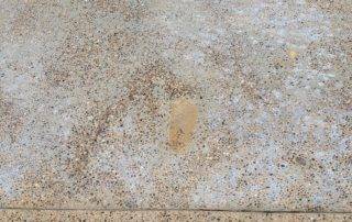 alt="efflorescent stains on concrete"